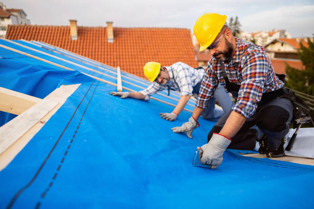 Trusted Colon, MI Roofing Service  Experts